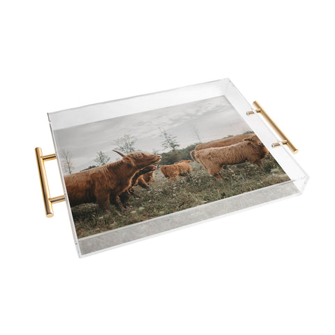 Chelsea Victoria Highland Cows In The Meadow Acrylic Tray