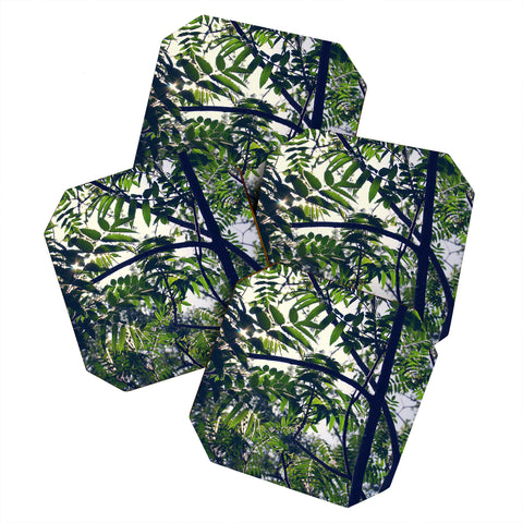 Chelsea Victoria Jungle Love Coaster Set