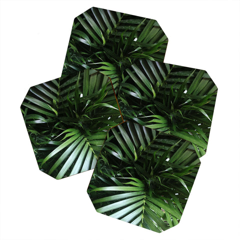 Chelsea Victoria Jungle Vibes Coaster Set