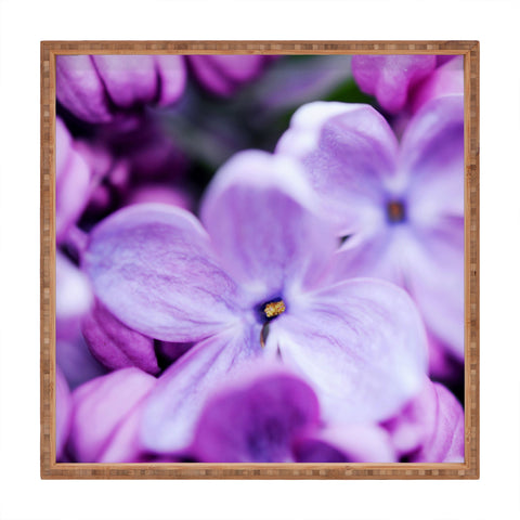 Chelsea Victoria Lilac Lilac Square Tray