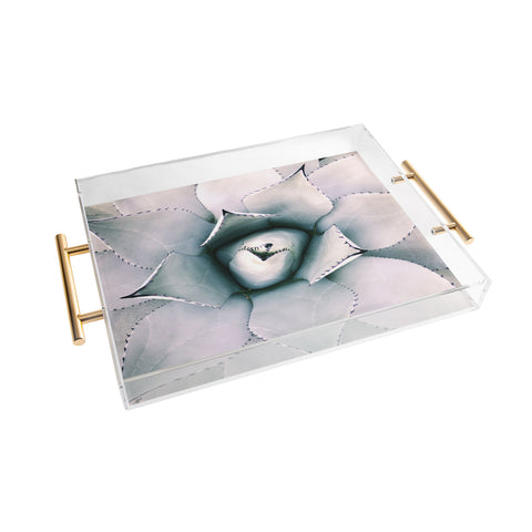 Chelsea Victoria My Desert Rose Acrylic Tray