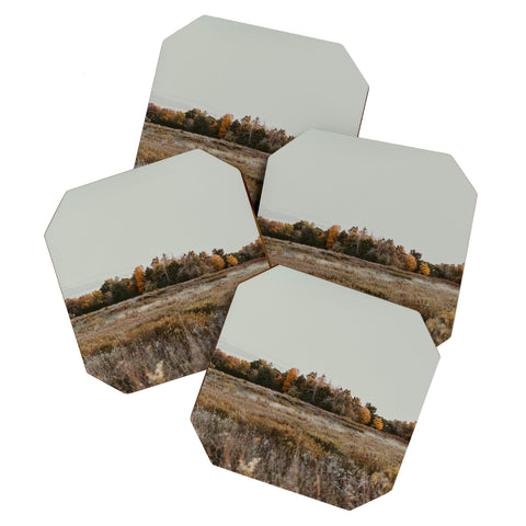 Chelsea Victoria New England Coaster Set