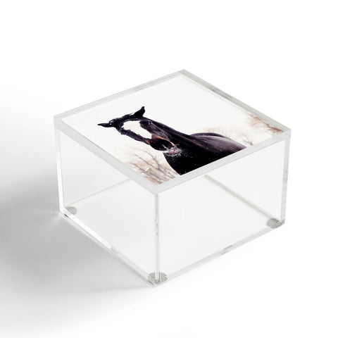 Chelsea Victoria Piper Acrylic Box