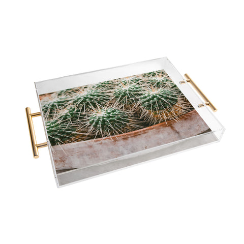Chelsea Victoria Potted Cactus Acrylic Tray