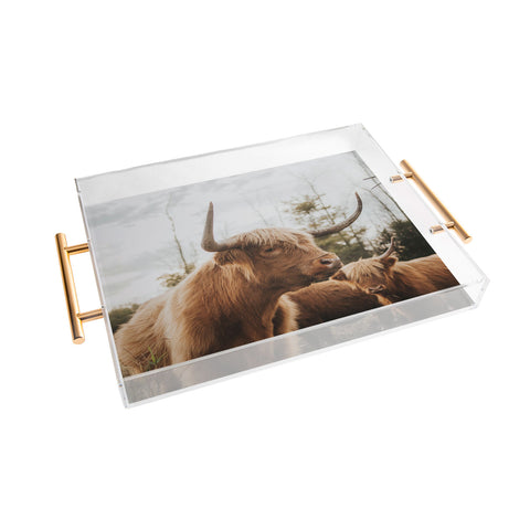 Chelsea Victoria Statuesque Highland Cow Acrylic Tray