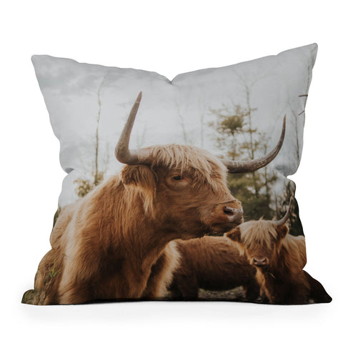 Chelsea Victoria Statuesque Highland Cow Outdoor Throw Pillow
