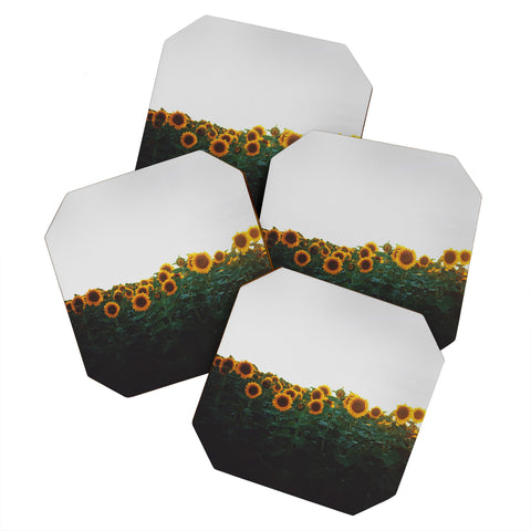 Chelsea Victoria Sunflower Fields Coaster Set