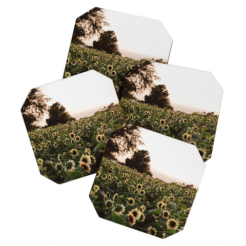Chelsea Victoria Sunset Sunflowers Coaster Set