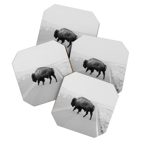 Chelsea Victoria The Black and White Bison Coaster Set