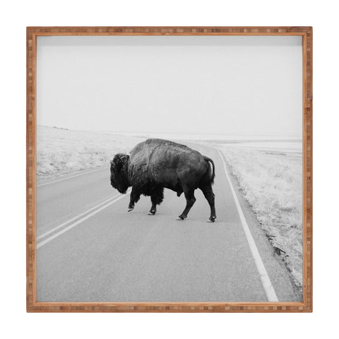 Chelsea Victoria The Black and White Bison Square Tray
