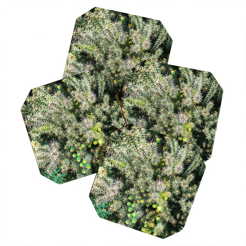 Chelsea Victoria The Cactus Coaster Set