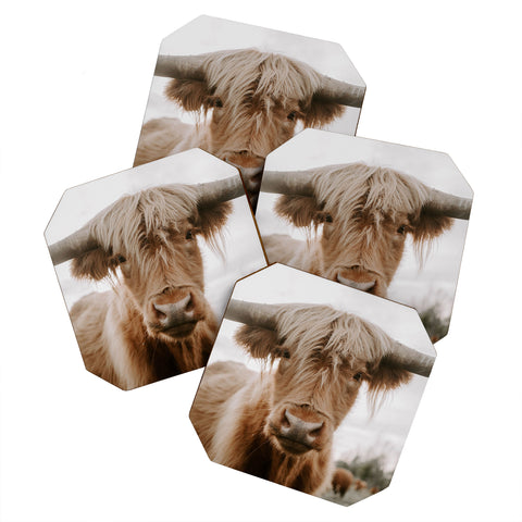 Chelsea Victoria The Curious Cow Coaster Set