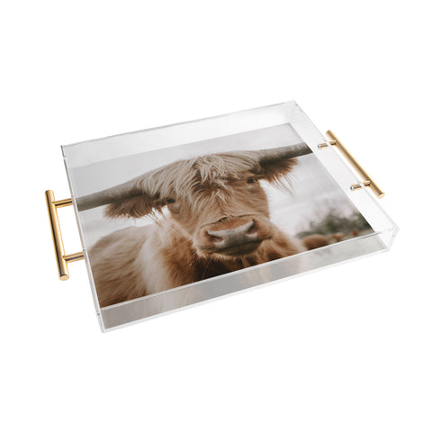 Chelsea Victoria The Curious Cow Acrylic Tray