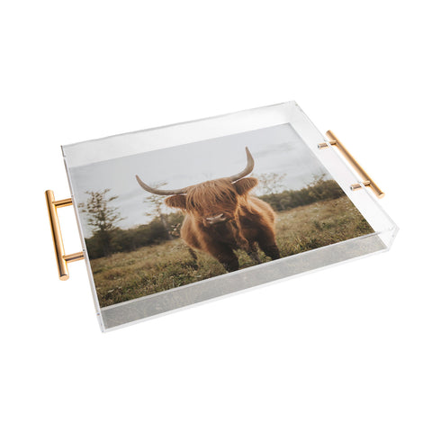 Chelsea Victoria The Curious Highland Cow Acrylic Tray