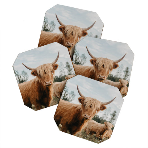 Chelsea Victoria The Furry Highland Cow Coaster Set