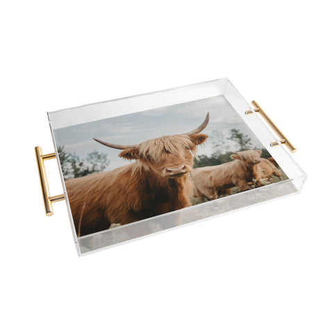 Chelsea Victoria The Furry Highland Cow Acrylic Tray