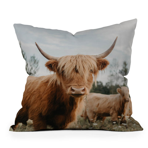 Chelsea Victoria The Furry Highland Cow Outdoor Throw Pillow