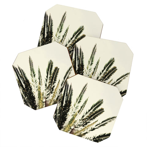 Chelsea Victoria The Palms No 2 Coaster Set