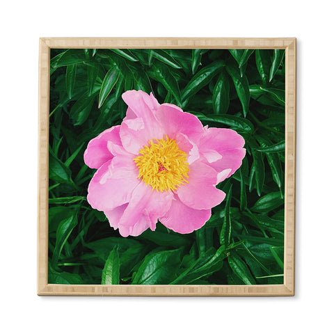 Chelsea Victoria The Peony In The Garden Framed Wall Art