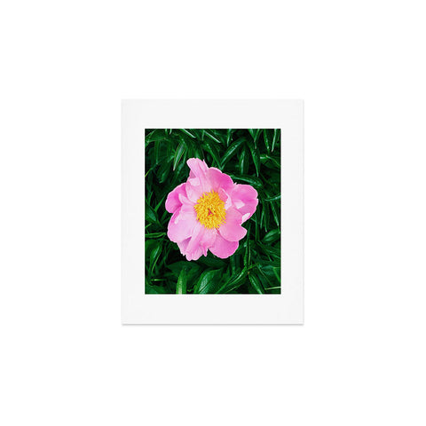Chelsea Victoria The Peony In The Garden Art Print