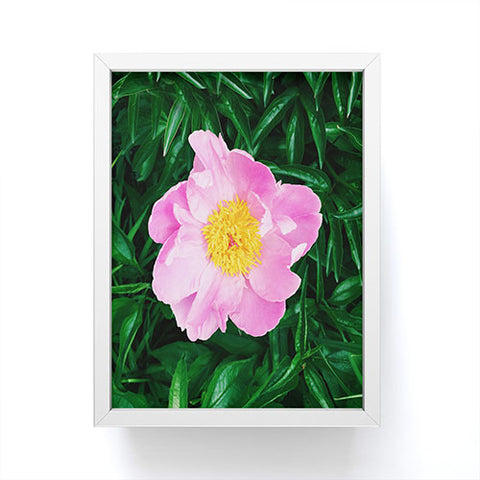 Chelsea Victoria The Peony In The Garden Framed Mini Art Print