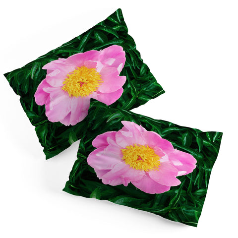 Chelsea Victoria The Peony In The Garden Pillow Shams