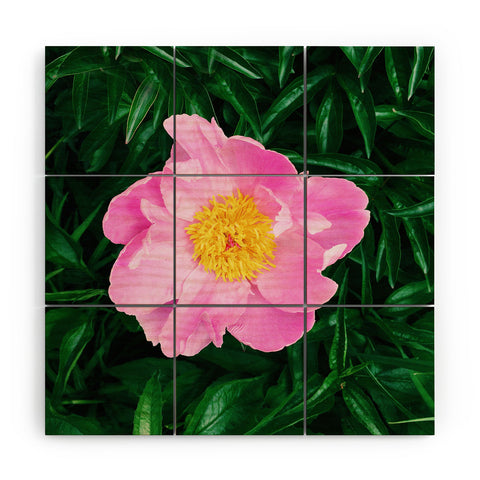 Chelsea Victoria The Peony In The Garden Wood Wall Mural