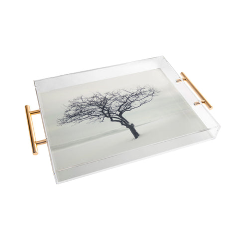 Chelsea Victoria The Scientist Acrylic Tray