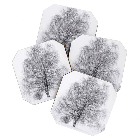 Chelsea Victoria The Willow and The Snow Coaster Set