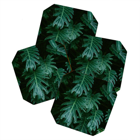 Chelsea Victoria Tropical Paradise Vibes Coaster Set