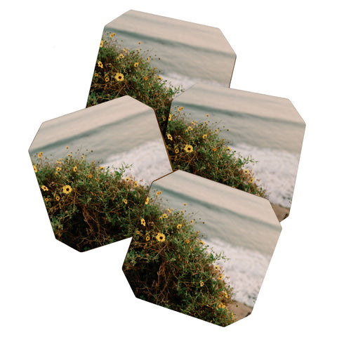 Chelsea Victoria Wildflowers in Malibu Coaster Set