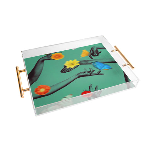 Chromoeye Jewels in Teal Acrylic Tray