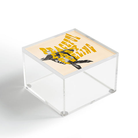 Chromoeye Peaceful Easy Feeling Acrylic Box