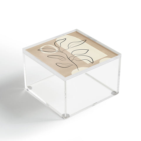 City Art Abstract Minimal Plant 8 Acrylic Box