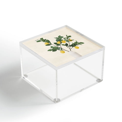 City Art Lemon Branches II Acrylic Box