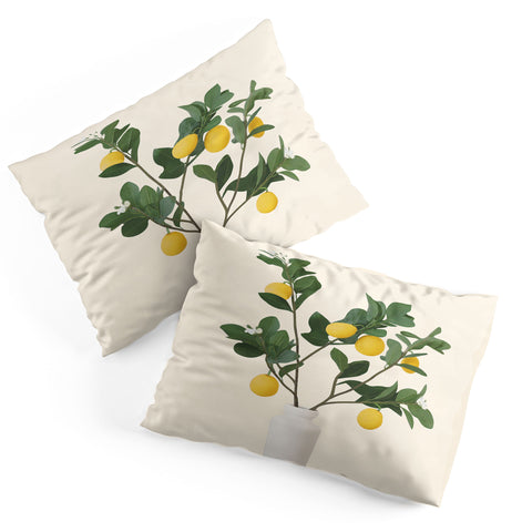 City Art Lemon Branches II Pillow Shams