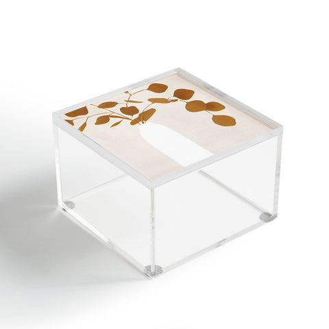 City Art Plant Acrylic Box