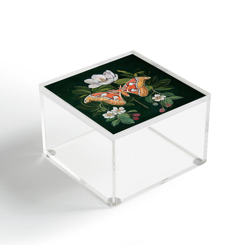 Clara McAllister Atlas Moth Acrylic Box