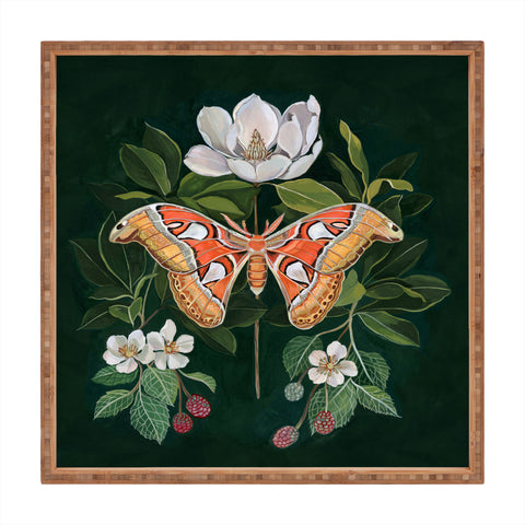 Clara McAllister Atlas Moth Square Tray