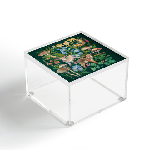 Clara McAllister baby goats Acrylic Box
