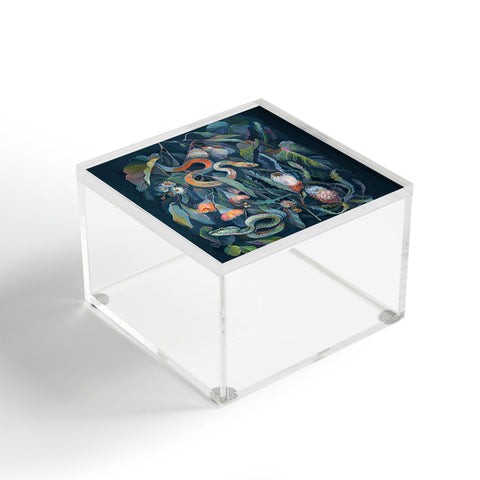 Clara McAllister Banksia Snake Acrylic Box