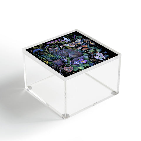 Clara McAllister Black Cat Magical Acrylic Box