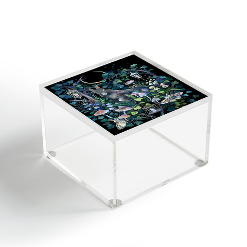 Clara McAllister Black Goat Acrylic Box