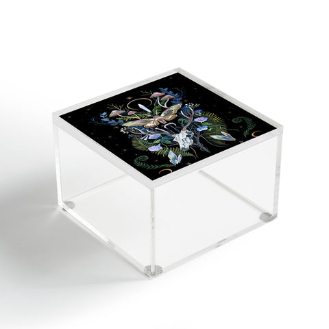 Clara McAllister Deer Skull Acrylic Box