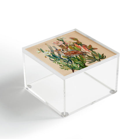 Clara McAllister Desert Owls Acrylic Box