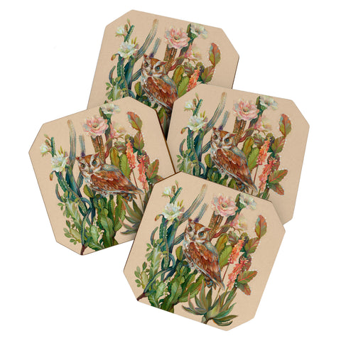 Clara McAllister Desert Owls Coaster Set