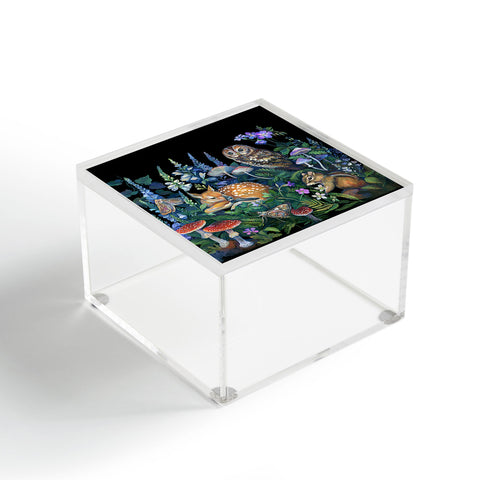 Clara McAllister Enchanted Woodland Acrylic Box