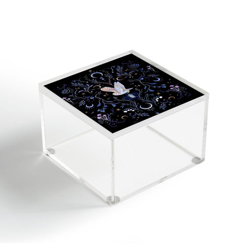 Clara McAllister Flying Owl Acrylic Box
