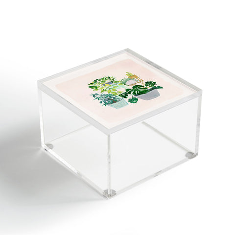 Clara McAllister House Plants and vases Acrylic Box
