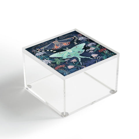 Clara McAllister Luna Moth Painting Acrylic Box